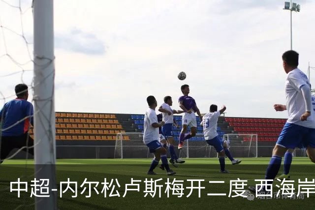 中超-内尔松卢斯梅开二度 西海岸3-1浙江12轮不败